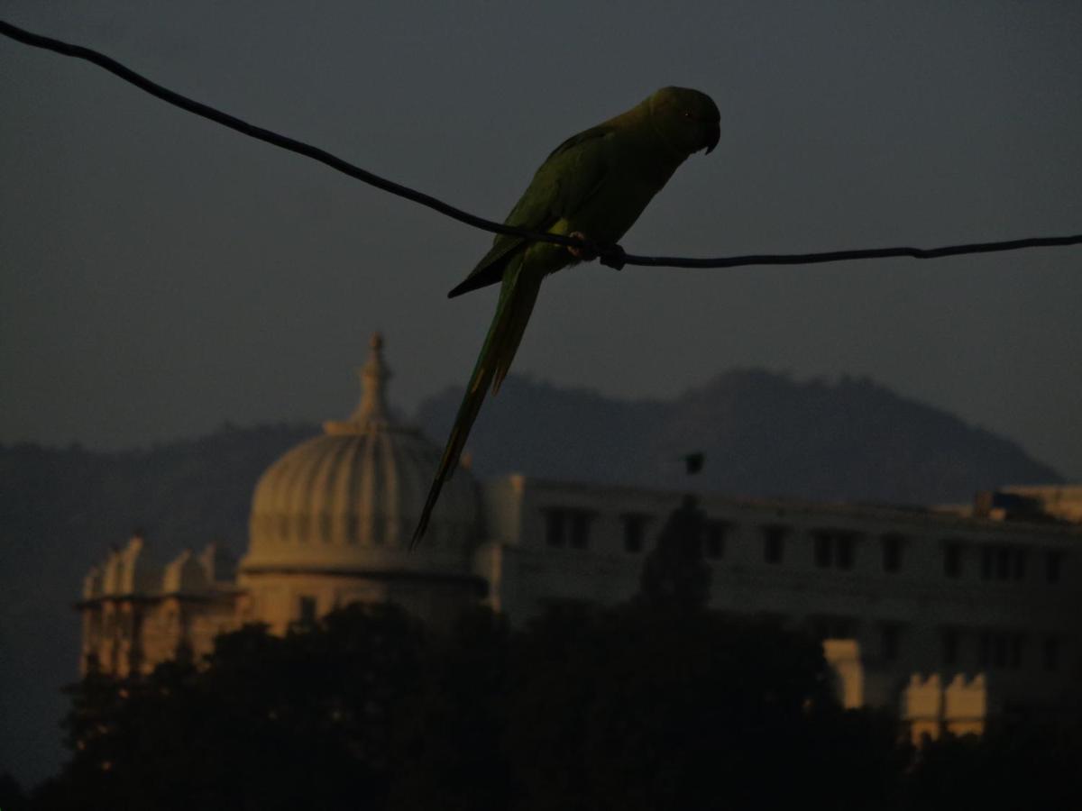 Mohan Villa Guest House Udaipur Exterior foto